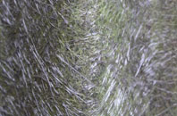 Slattocks fibreglass roof work